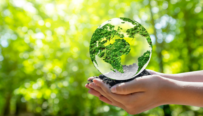 Sostenibilidad y renting: Cómo las empresas pueden reducir su huella de carbono
