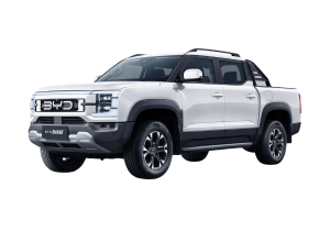 Byd Shark GS