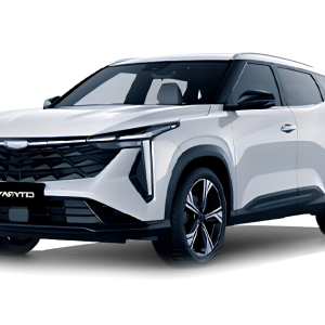 Geely City Ray Exclusive